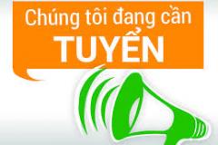 Công ty TNHH Kính Nổi Việt Nam tuyển dụng
