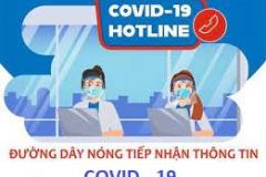 Đường dây nóng tiếp nhận thông tin Covid-19