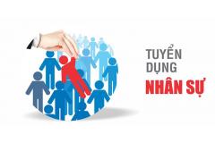 Công ty TNHH V-Honest tuyển dụng