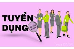 công ty THNN Youngbo Vina tuyển dụng