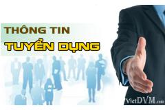 Công ty TNHH Gunho Electronics Việt Nam tuyển dụng
