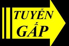 Tuyển dụng gấp