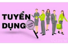 Công ty TNHH TM TECH tuyển dụng