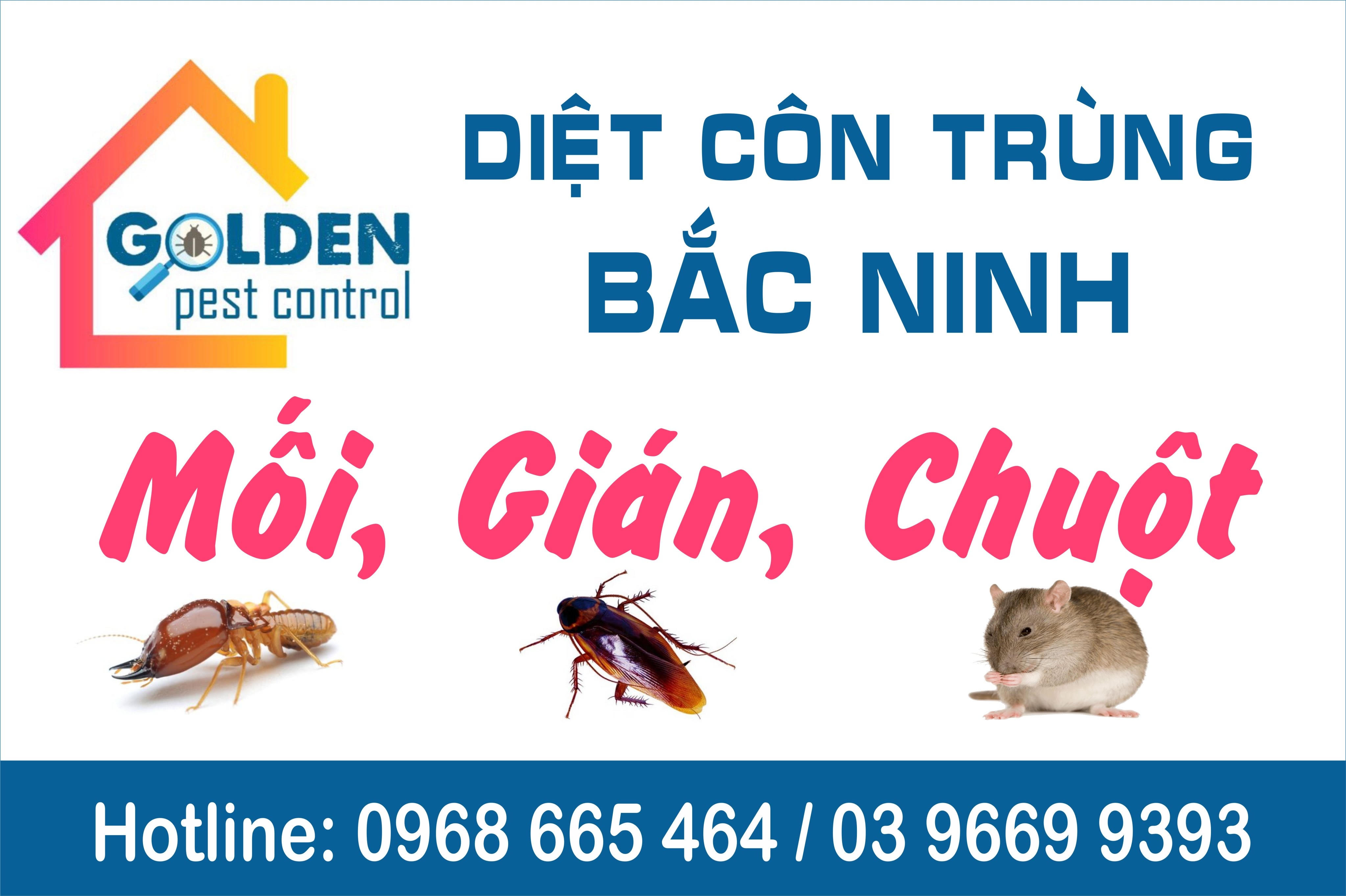 CÔNG TY TNHH GOLDEN PEST CONTROL